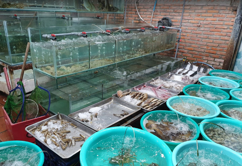 Типичная витрина перед рыбным рестораном, где можно поесть в Нячанге морепродуктов вкусно и недорого